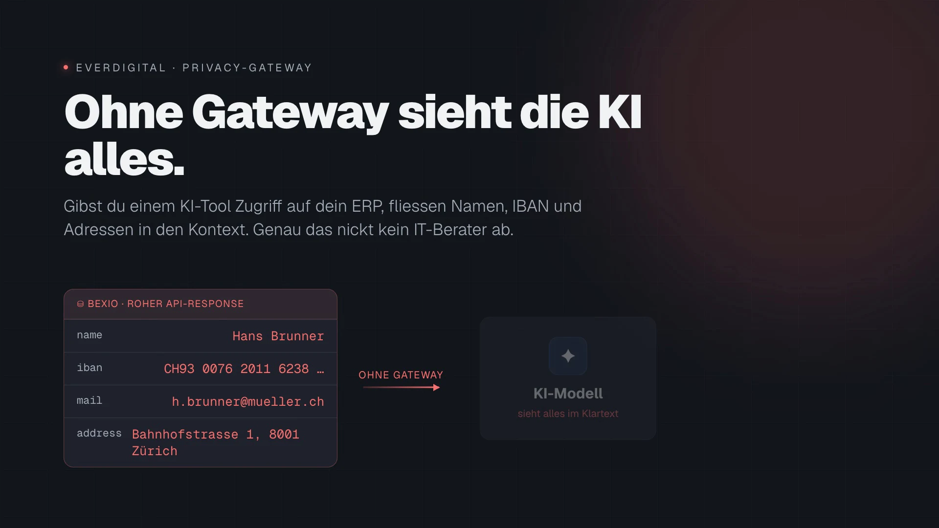 Privacy-Gateway — was die KI sieht